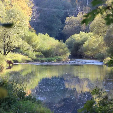 Affittacamere Haus Im Donautal